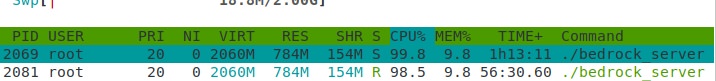 htop.jpg