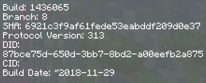 Minecraft Client Version.JPG