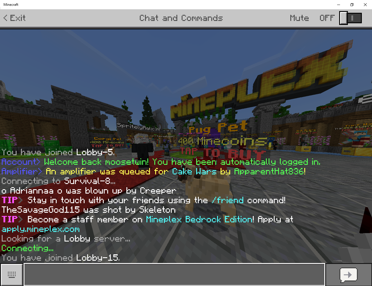 Minecraft 3_23_2019 11_43_43 AM.png