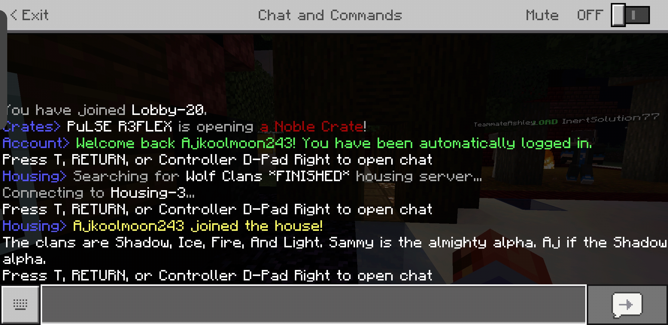Screenshot_20190727-212358_Minecraft.jpg
