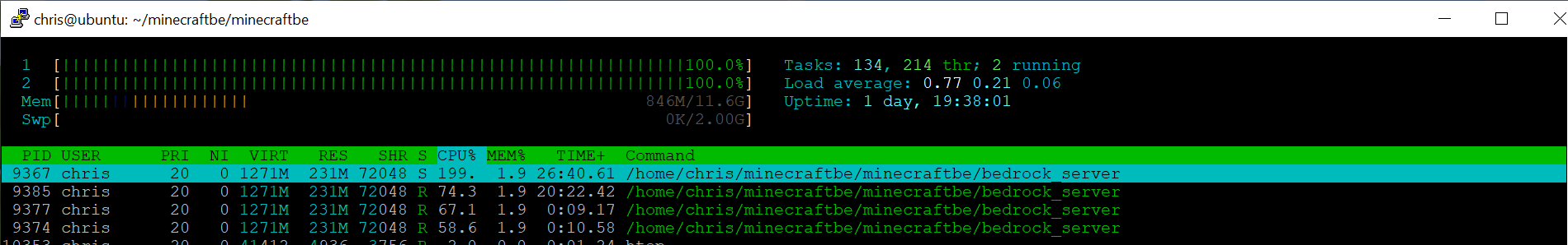 Celeron - single connection.png