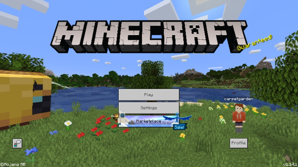 Screenshot_20191230-180754_Minecraft.jpg