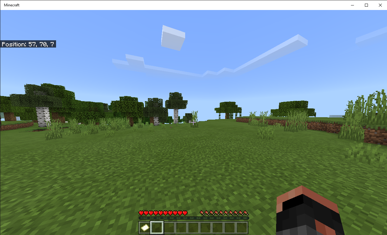Minecraft 1_10_2020 2_30_29 PM.png