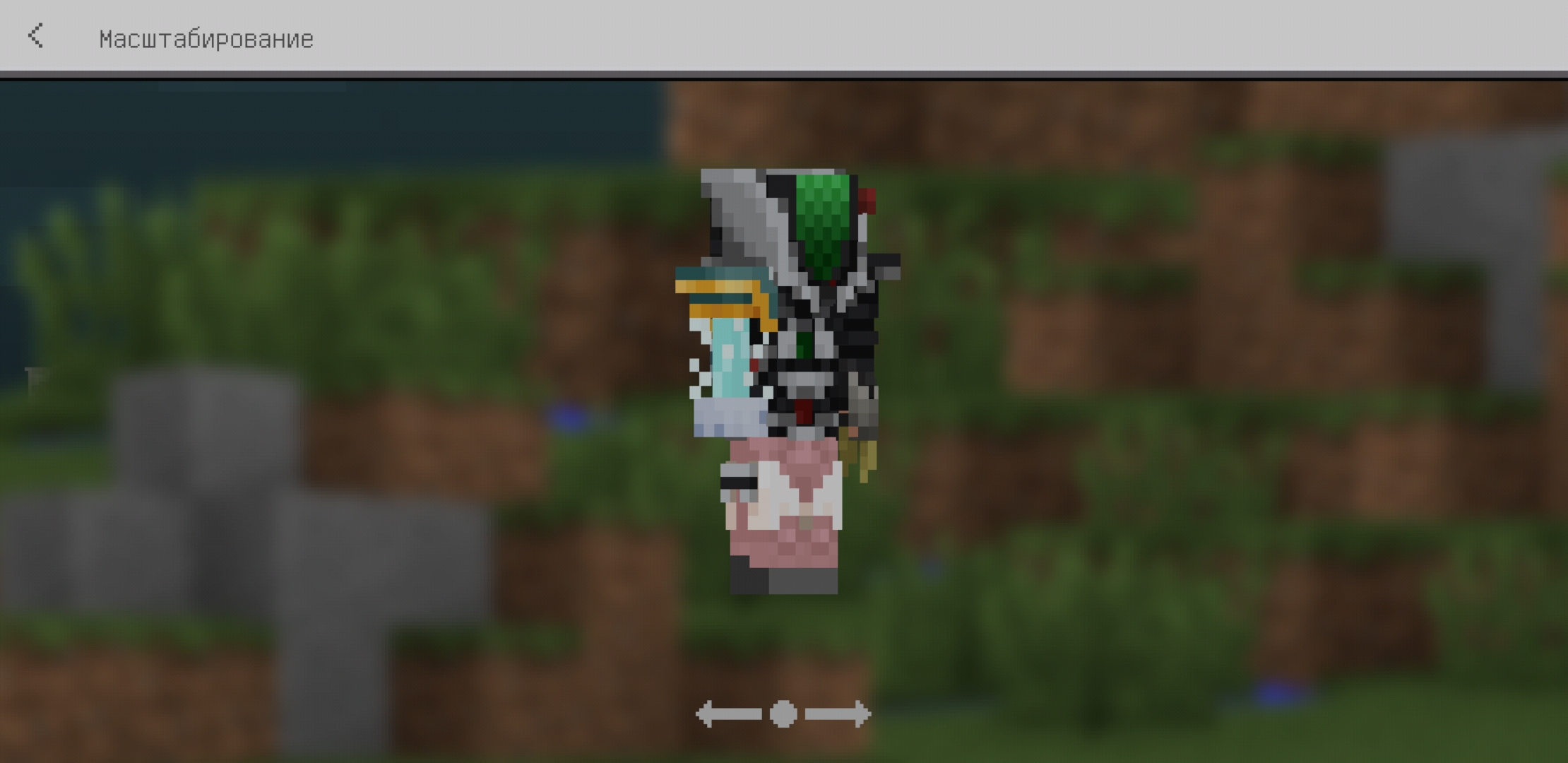 Screenshot_20200215-170023_Minecraft.jpg