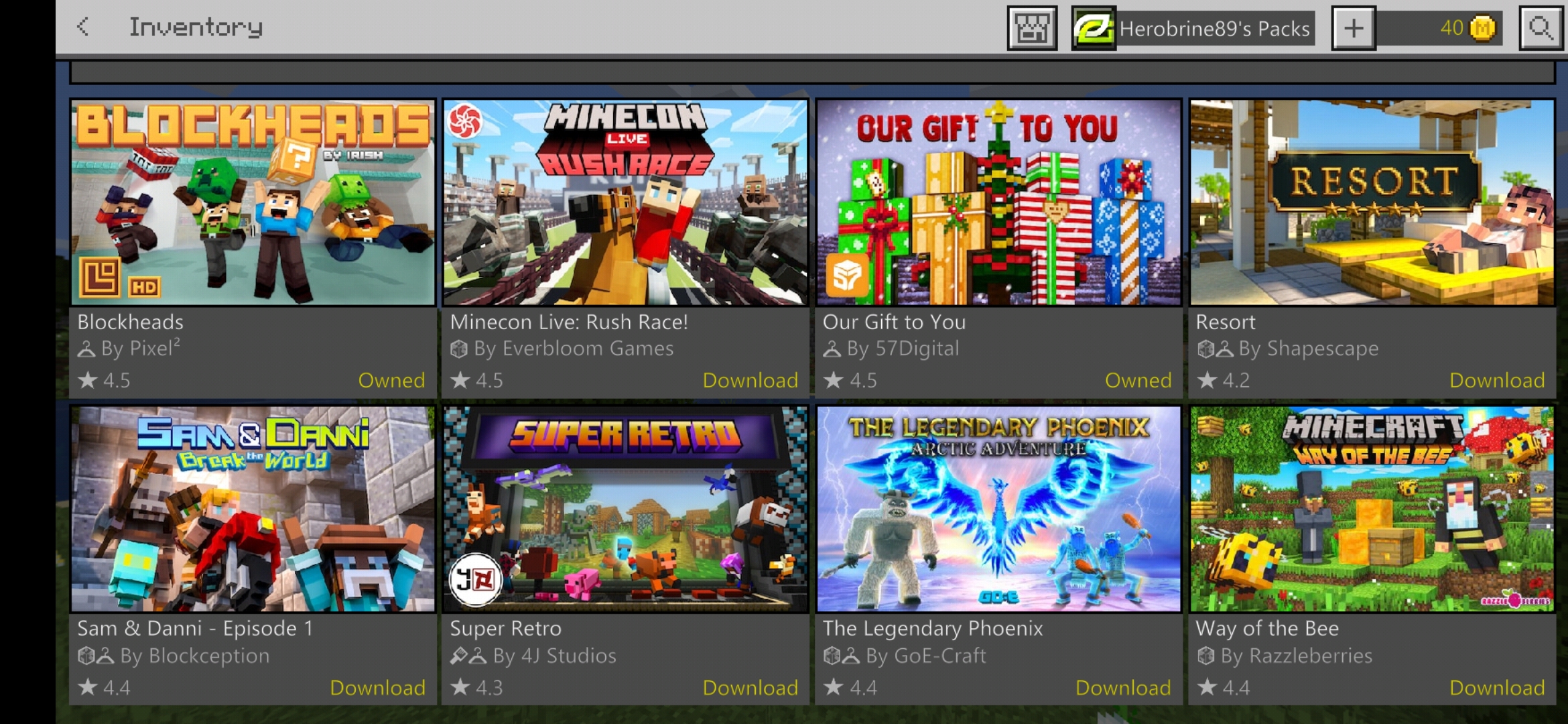 Screenshot_20200218-202712_Minecraft.jpg