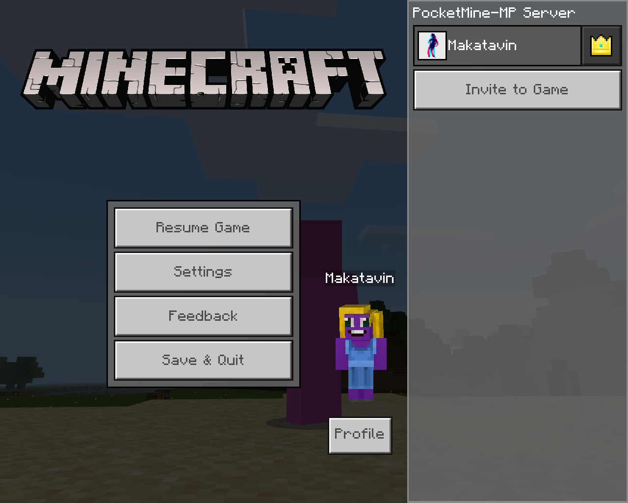 Minecraft 19.03.2020 20_39_41.png