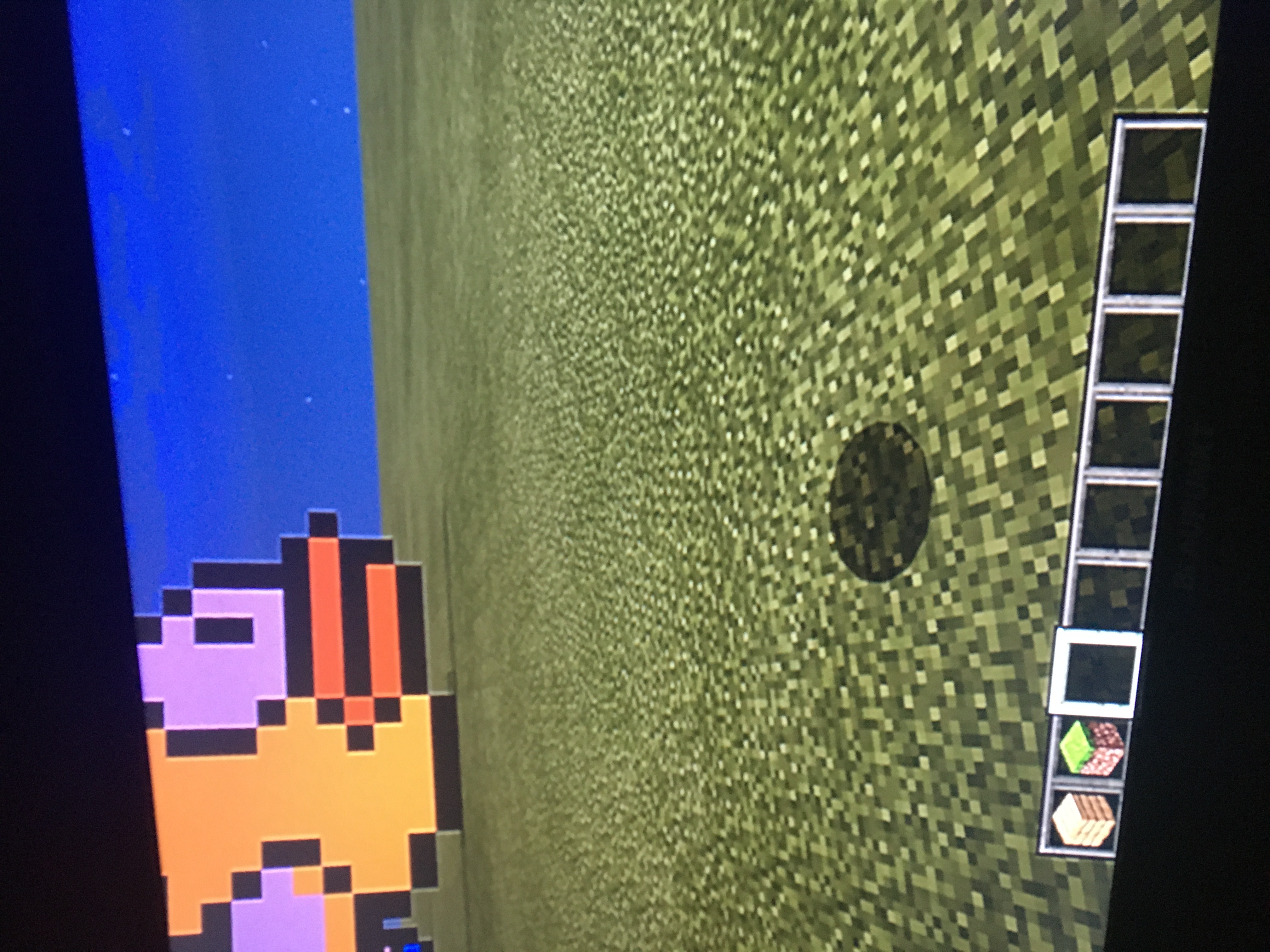 image.jpg