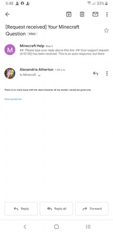 minecraftbugcorrespondance052020.jpg
