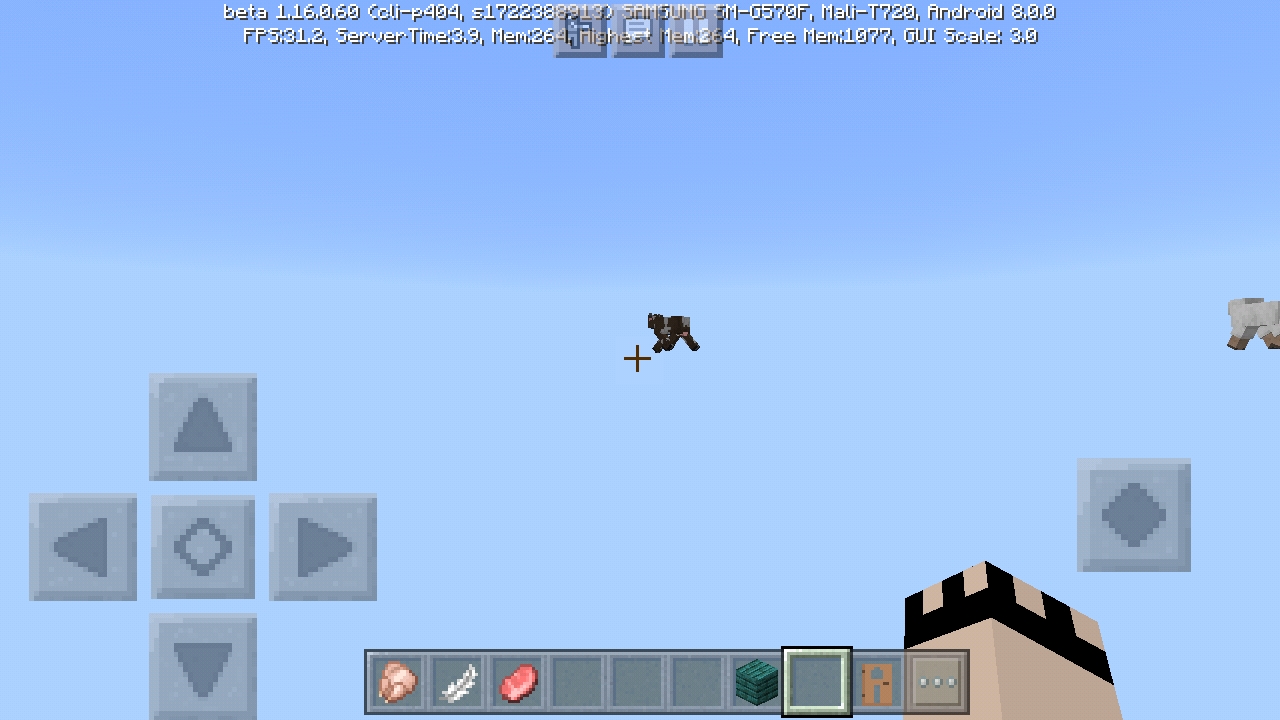 Screenshot_20200509-110344_Minecraft.jpg
