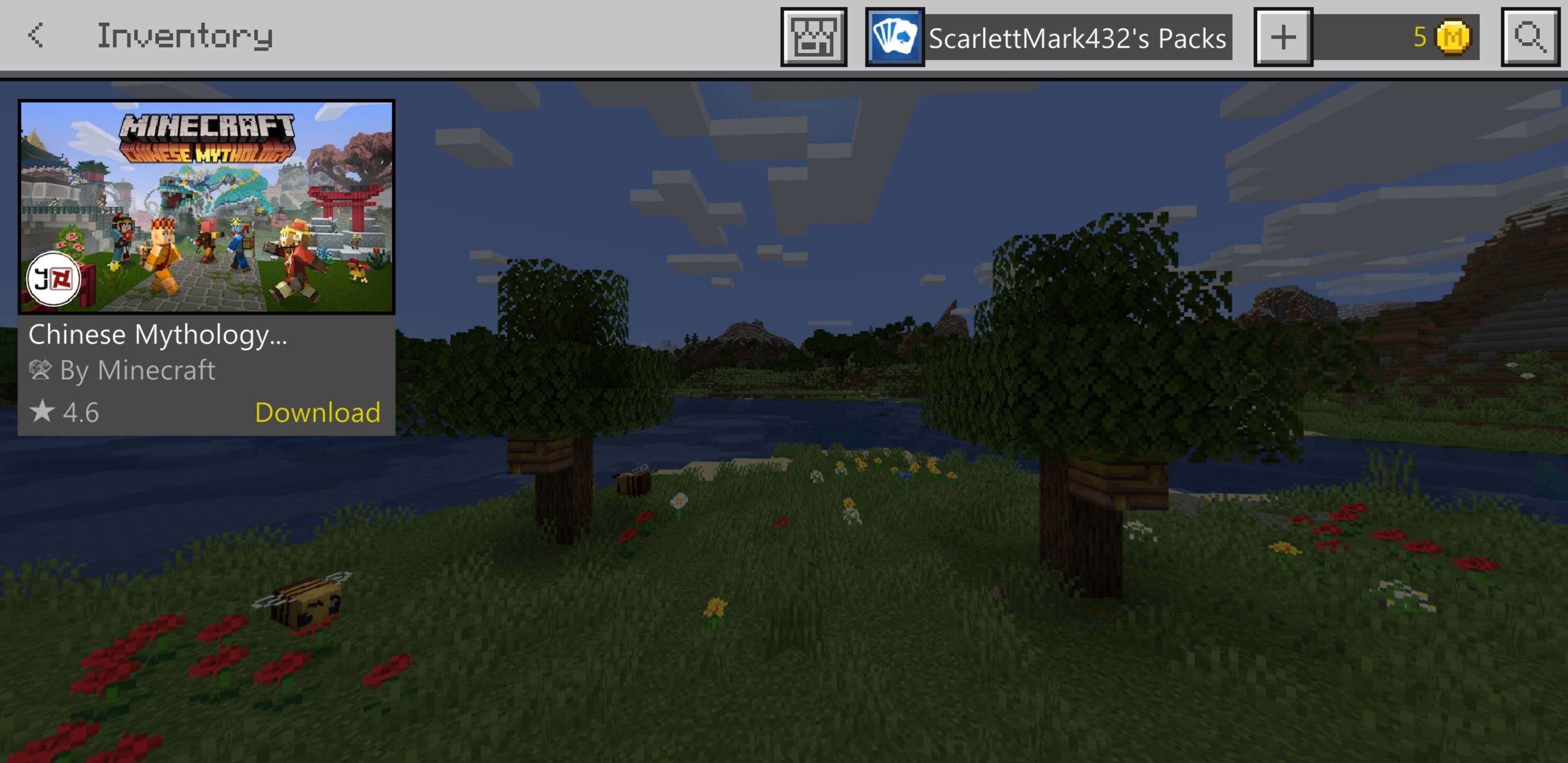 Screenshot_20200528-210055_Minecraft.jpg
