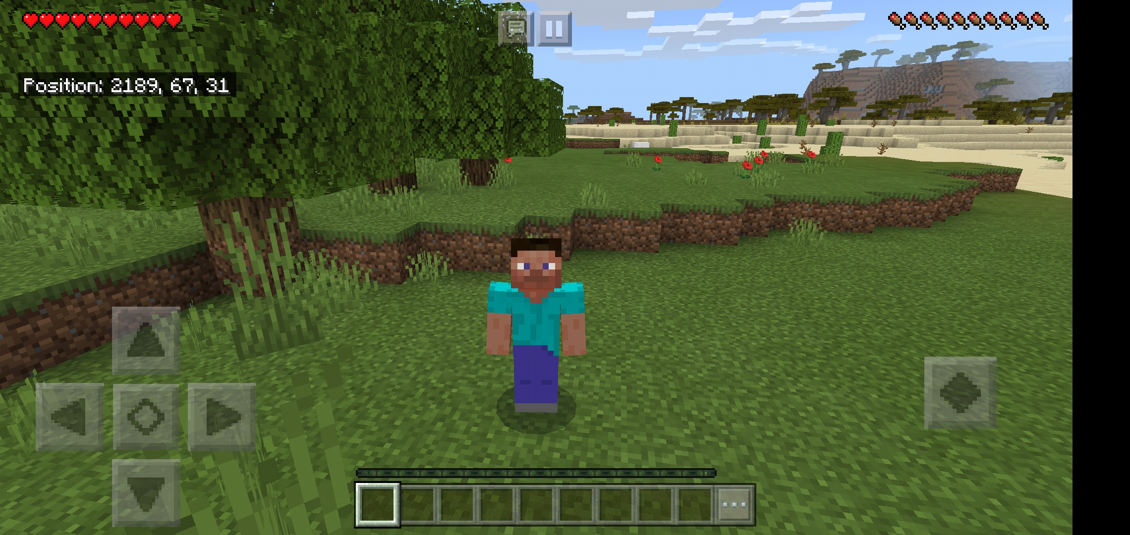 Screenshot_20200530-214849_Minecraft.jpg