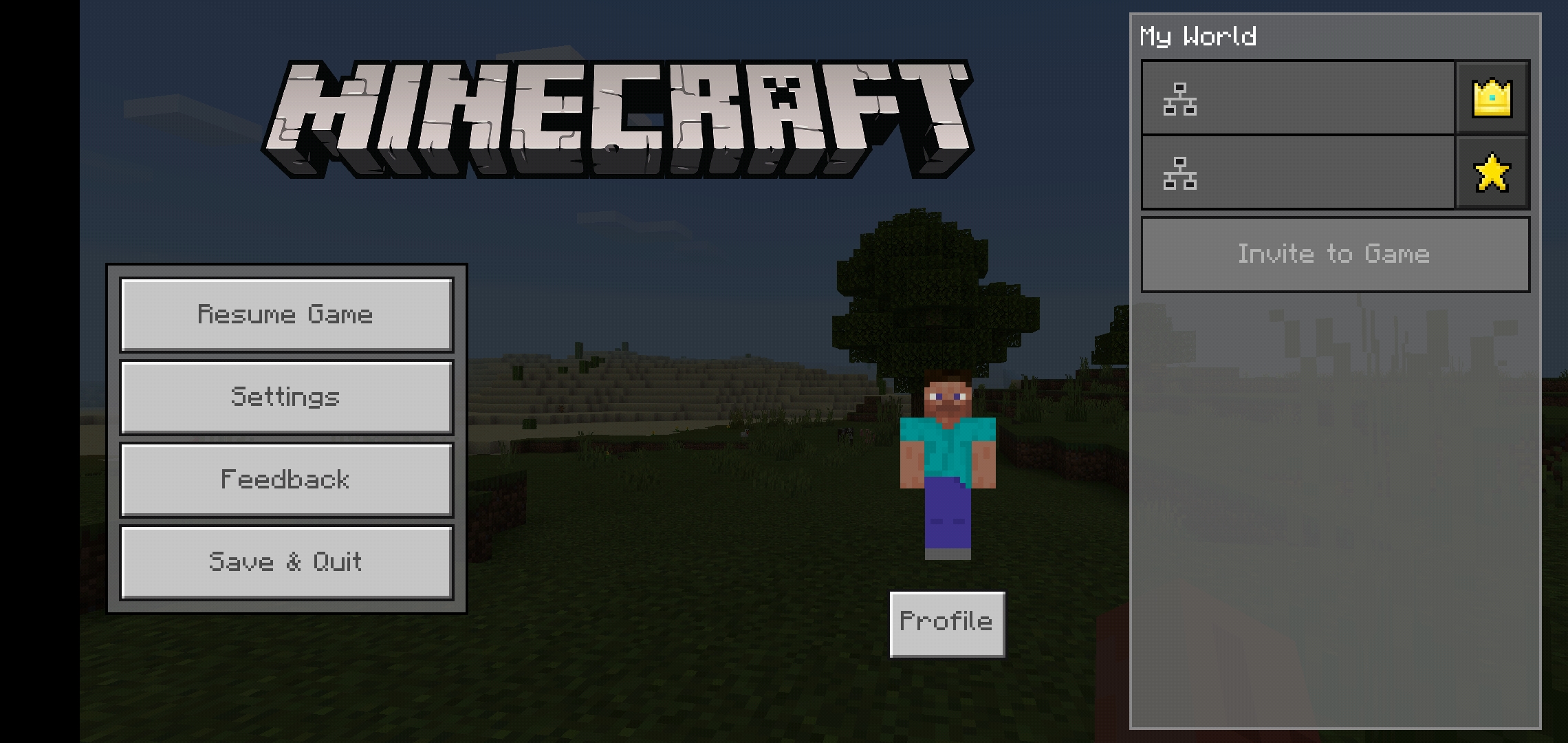 Screenshot_20200530-215449_Minecraft.jpg