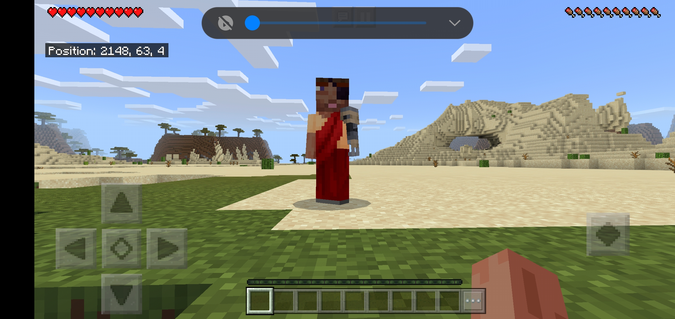 Screenshot_20200530-215521_Minecraft.jpg