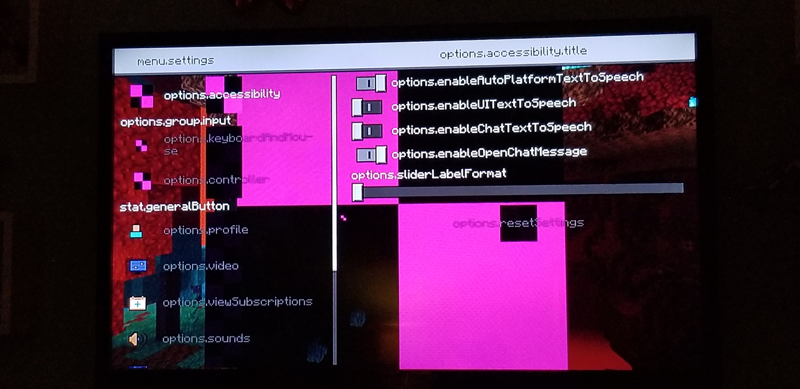 minecraft_bug4.jpg
