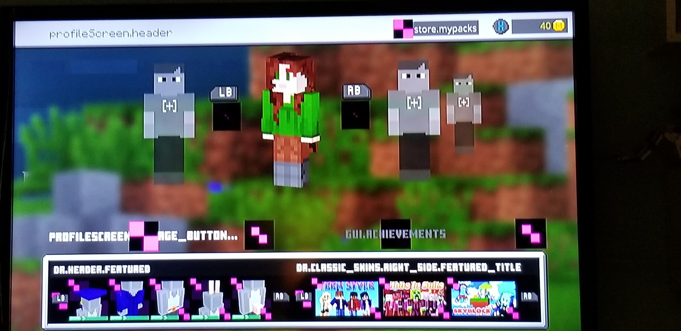 minecraft_bug3.jpg
