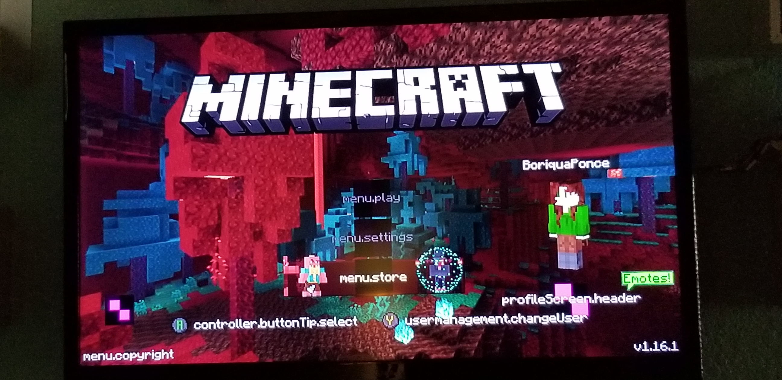 minecraft_bug.jpg