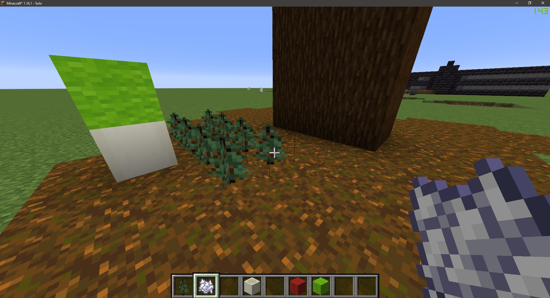 spruce_green_3.jpg