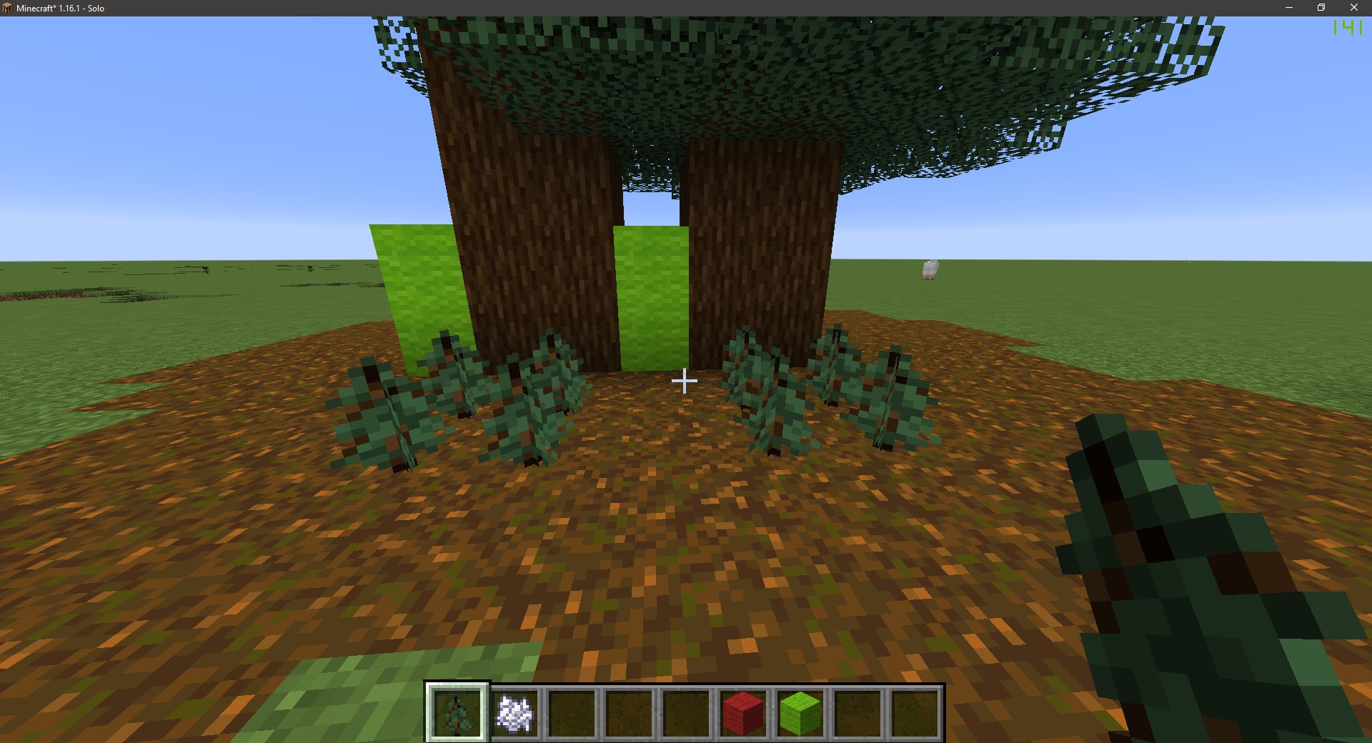 spruce_green_2.jpg