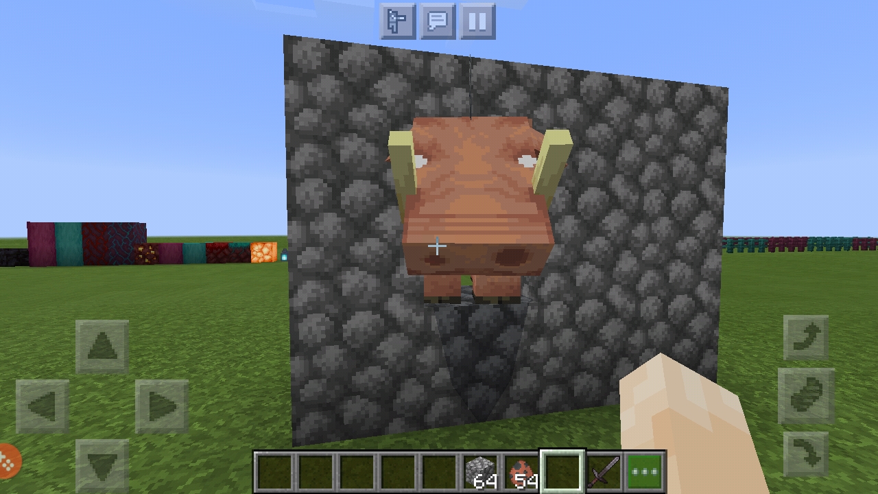 Screenshot_20201017-175946_Minecraft.jpg