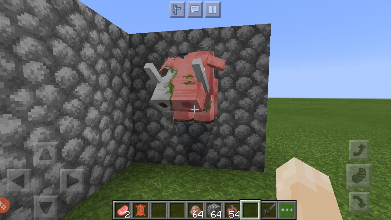 Screenshot_20201017-180008_Minecraft.jpg