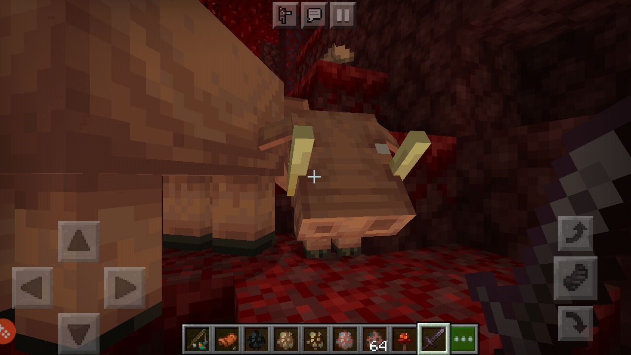 Screenshot_20201023-233230_Minecraft.jpg