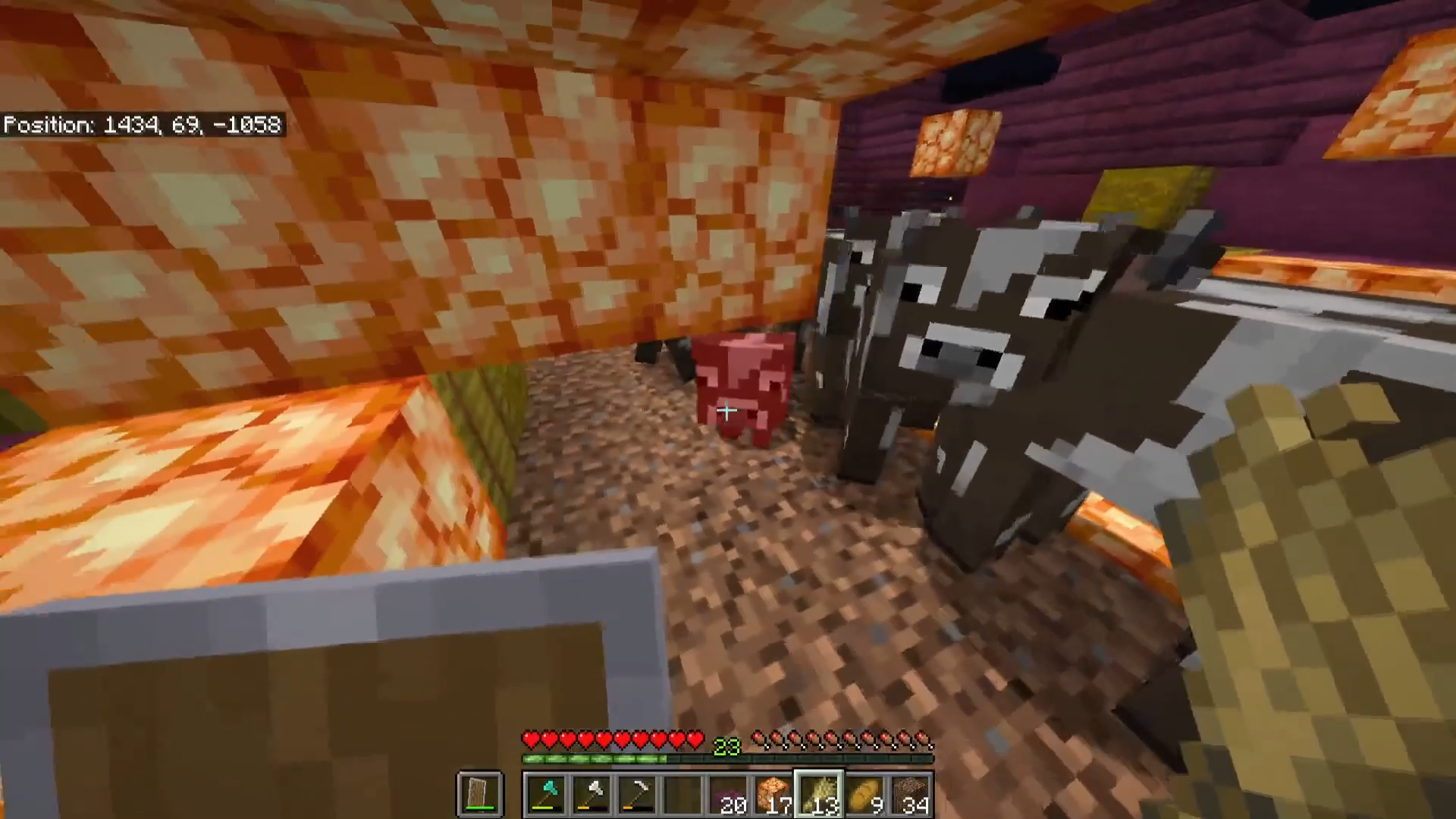 Capture.PNG