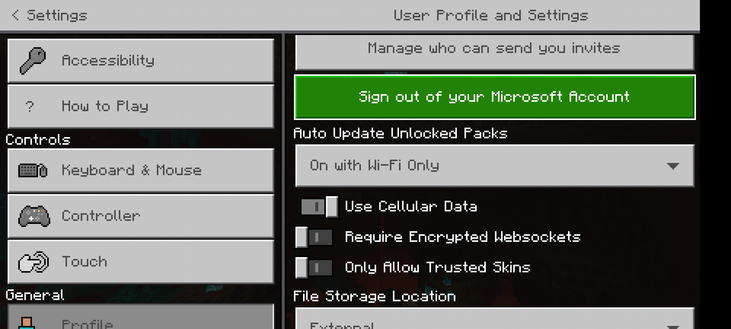Screenshot_2020-11-17-23-43-37-608_com.mojang.minecraftpe.jpg