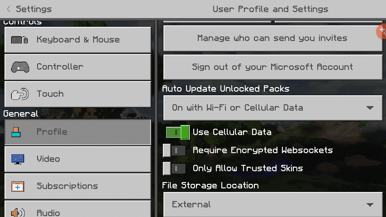 Screenshot_20201118-133316_Minecraft.jpg