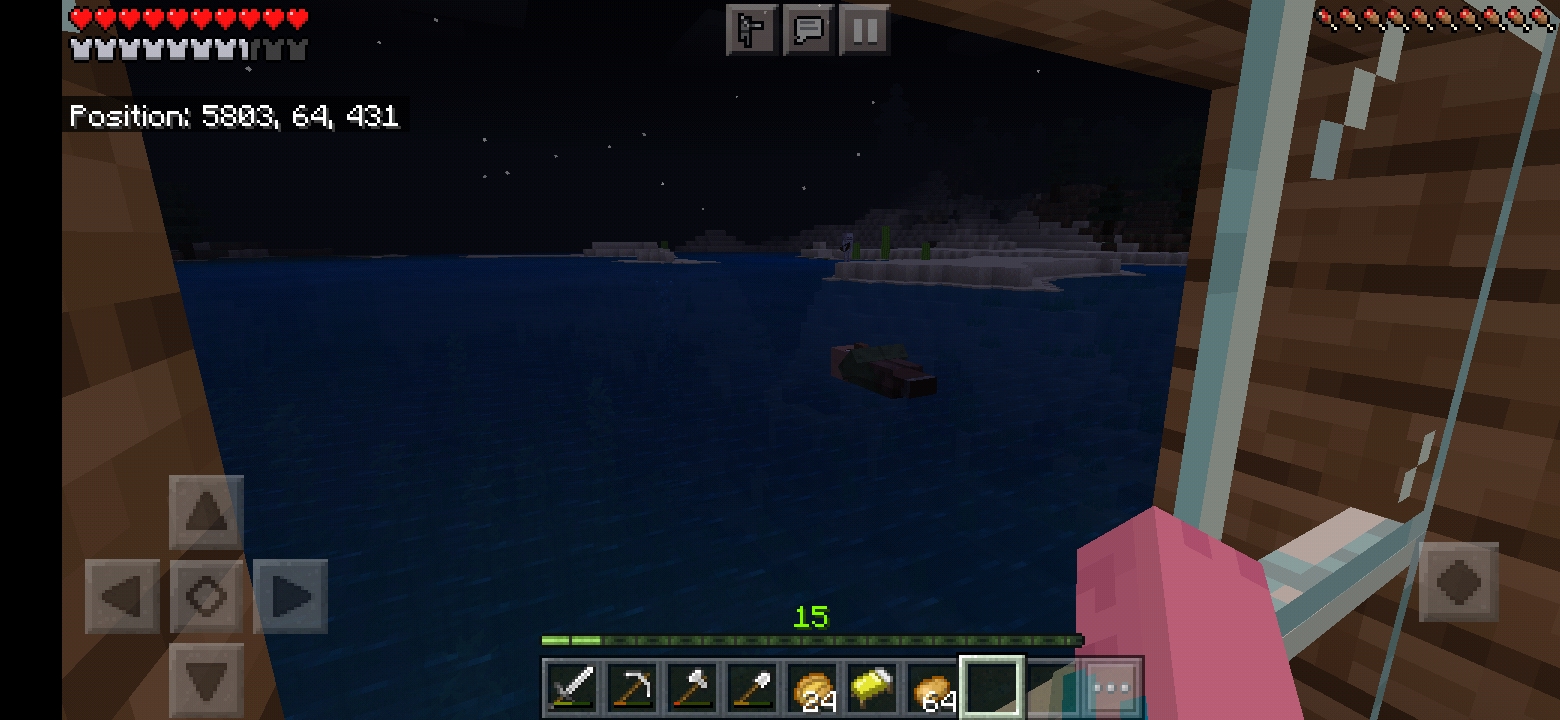 Screenshot_20201119-013118_Minecraft.jpg