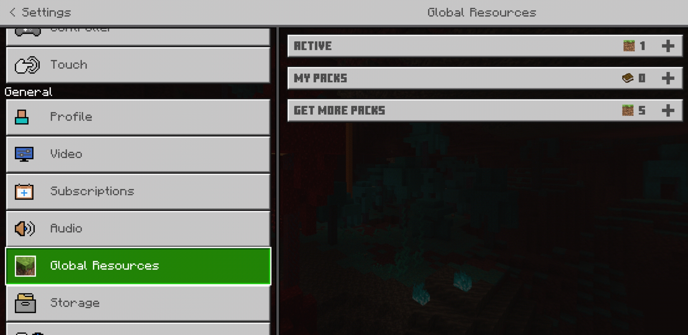 Screenshot_20210220-075213_Minecraft.jpg