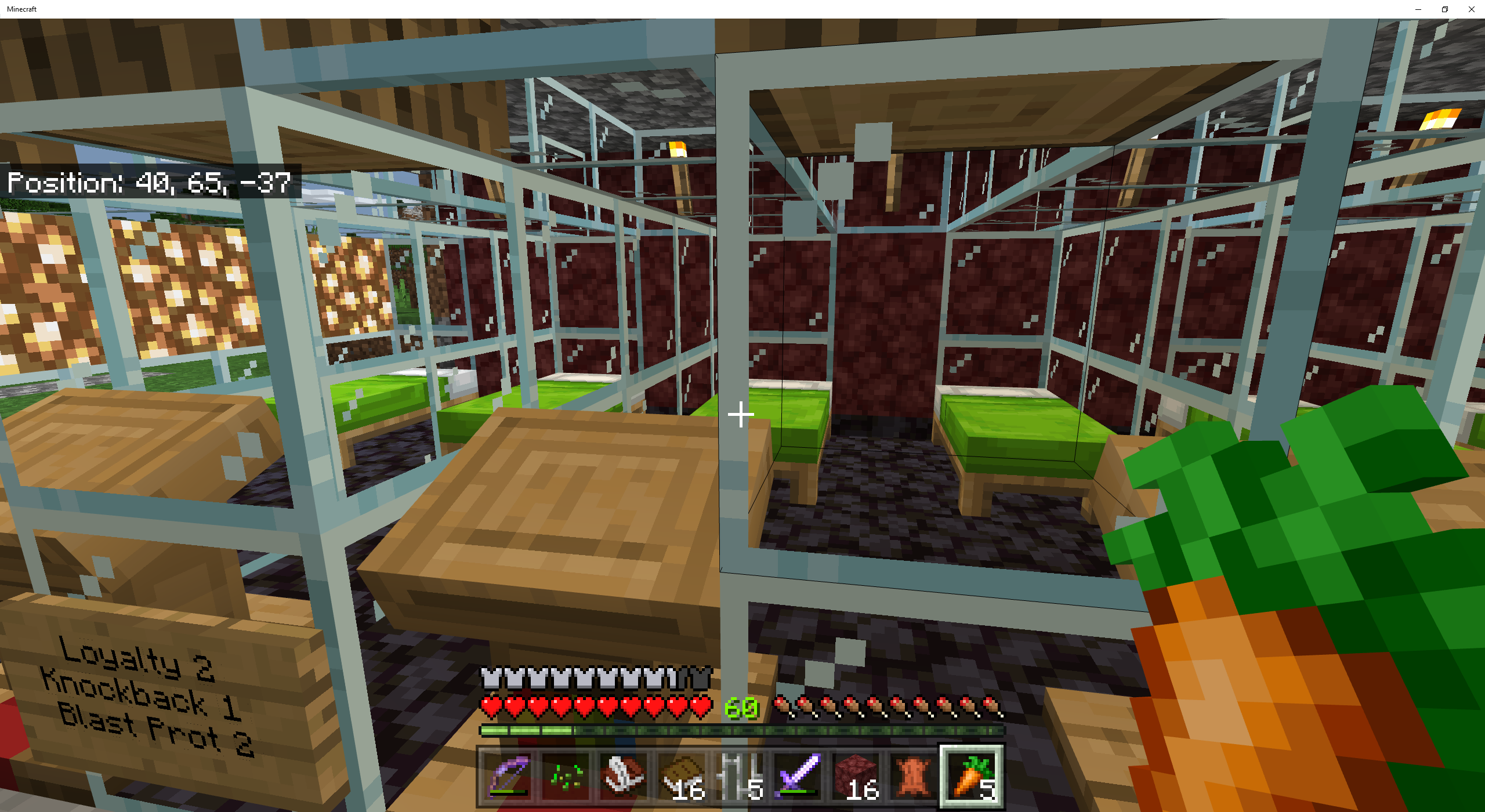 210219-MinecraftScreenshotVillagersMissing.png