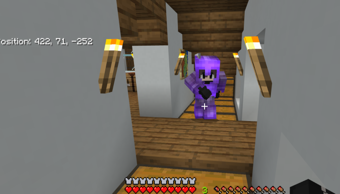 minecraft2.PNG