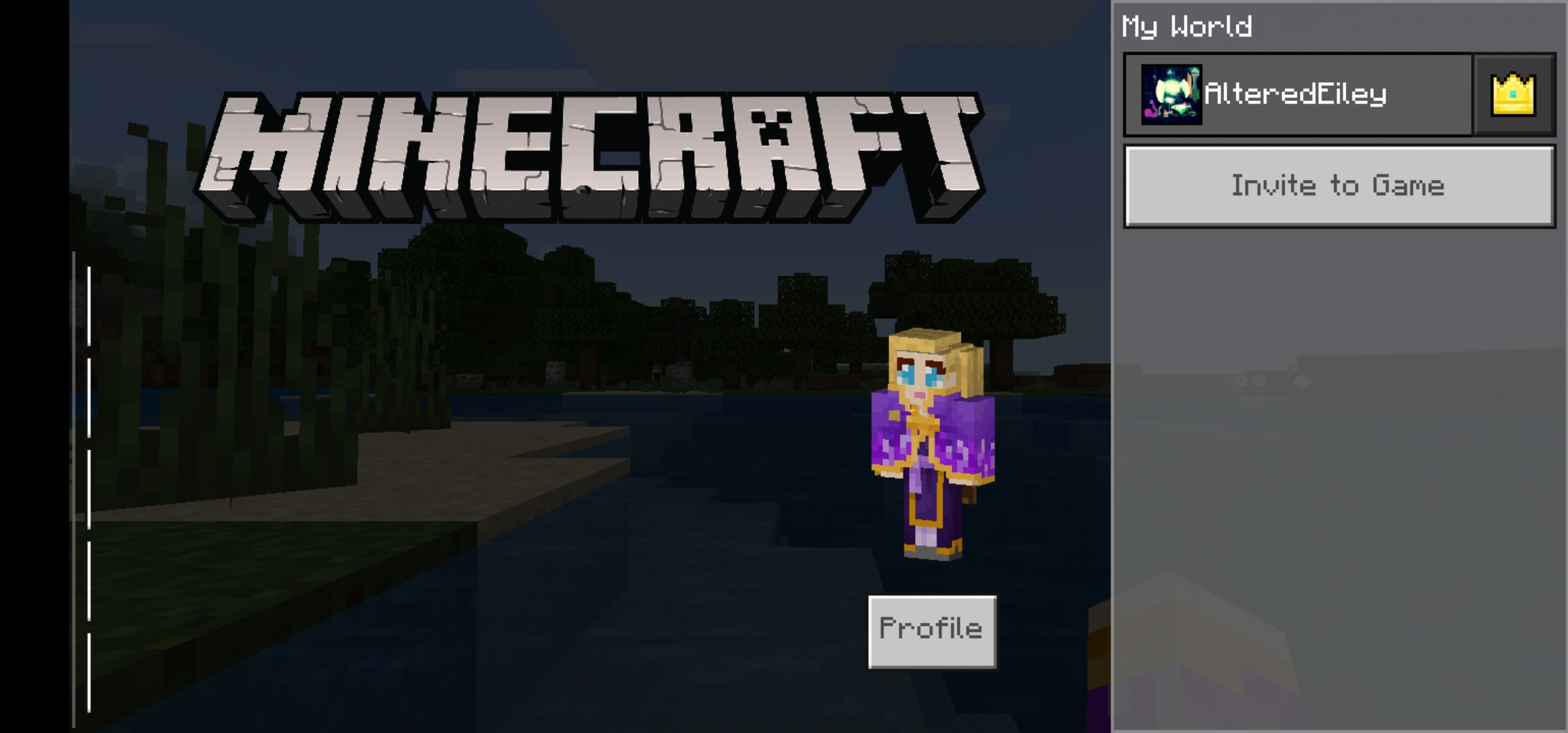 Screenshot_20210315_150656_com.mojang.minecraftpe.jpg