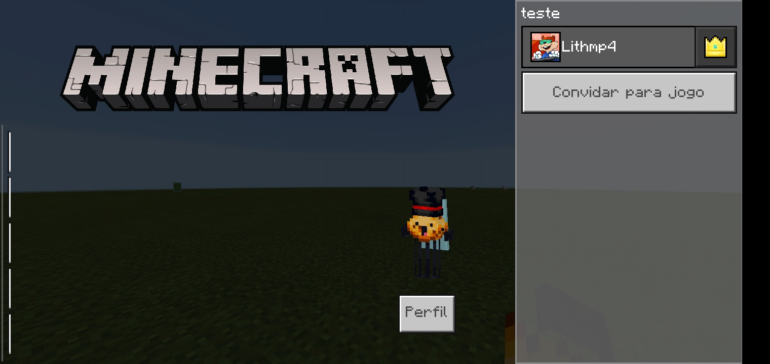 Screenshot_2021-03-15-13-54-00-432_com.mojang.minecraftpe.jpg