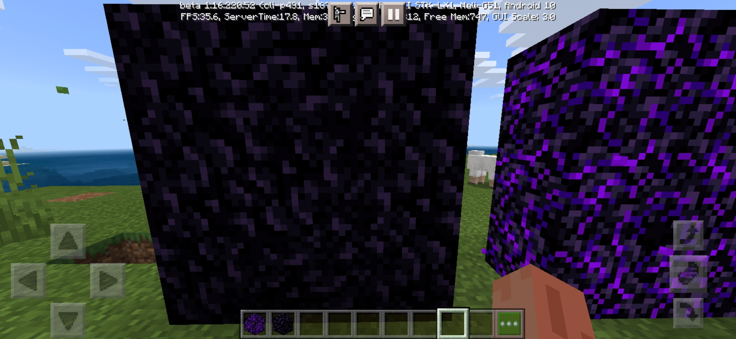 Screenshot_20210320_160230_com.mojang.minecraftpe.jpg