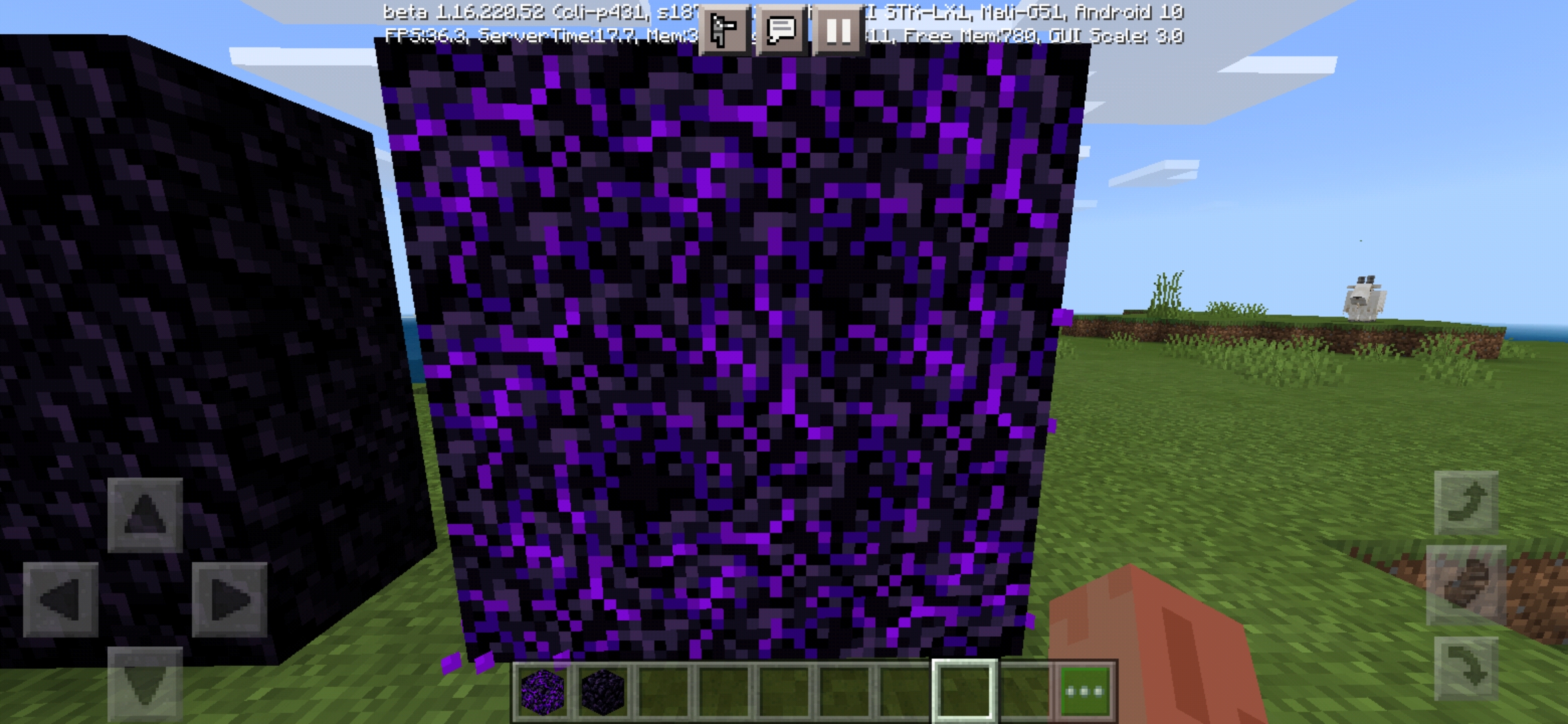 Screenshot_20210320_160222_com.mojang.minecraftpe.jpg