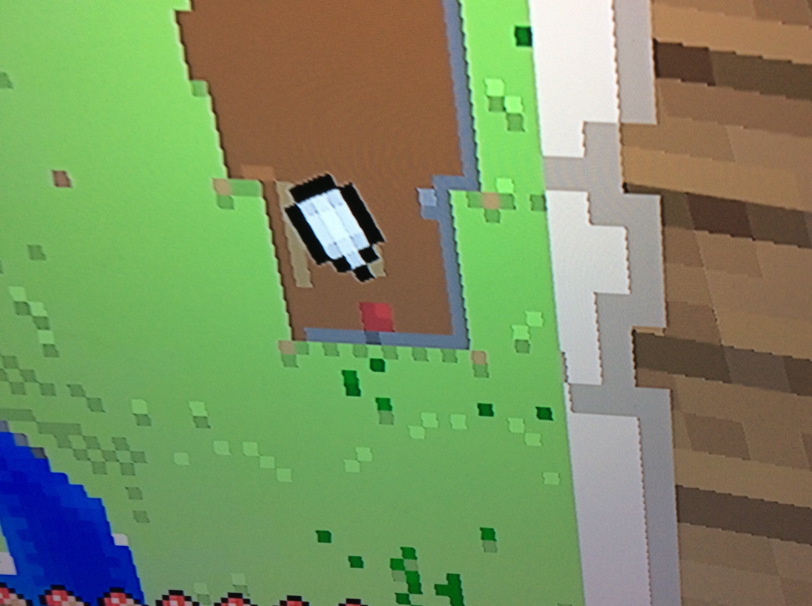 image.jpg