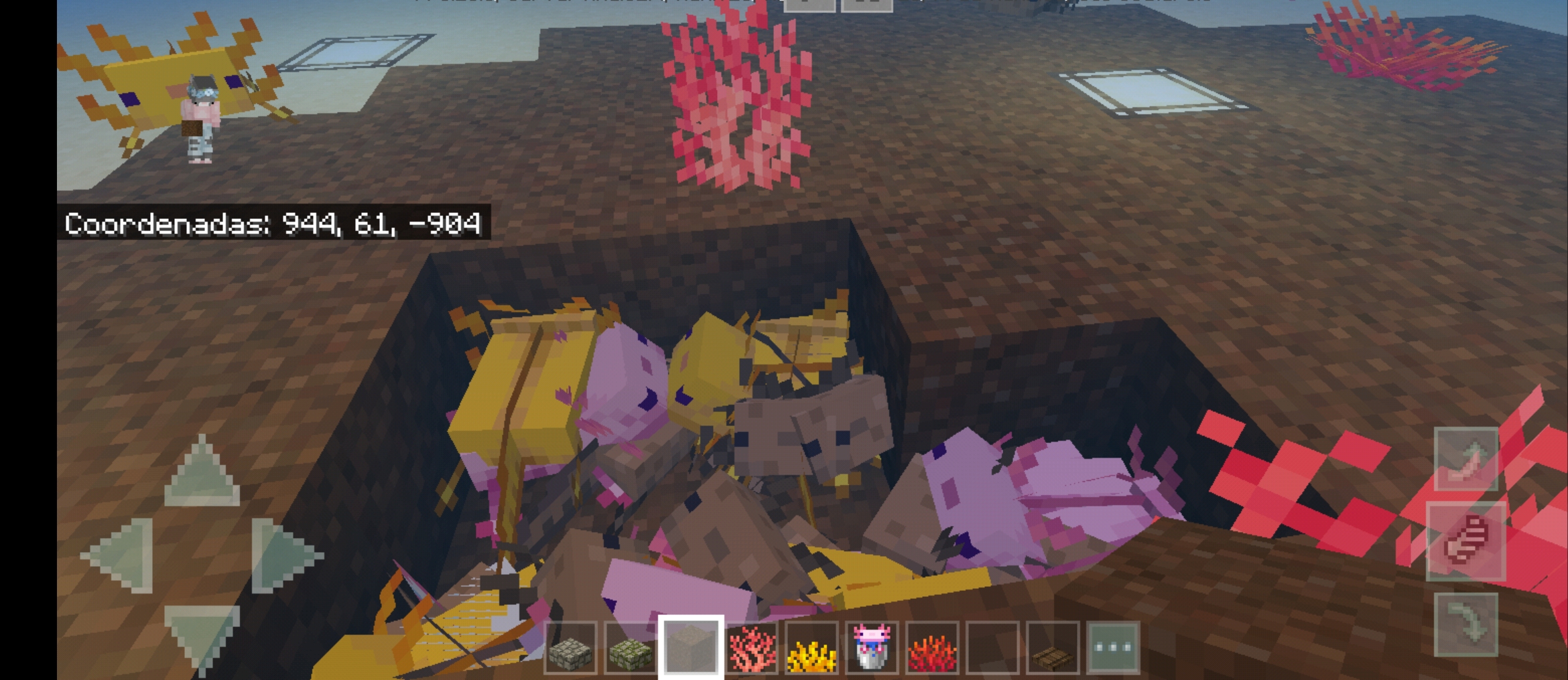 touchmaster_20210426-36660.jpeg