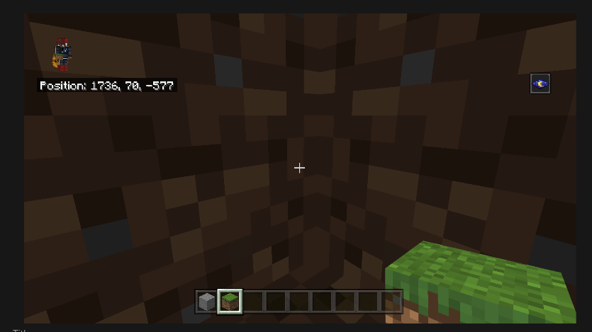 minecraft bug.PNG