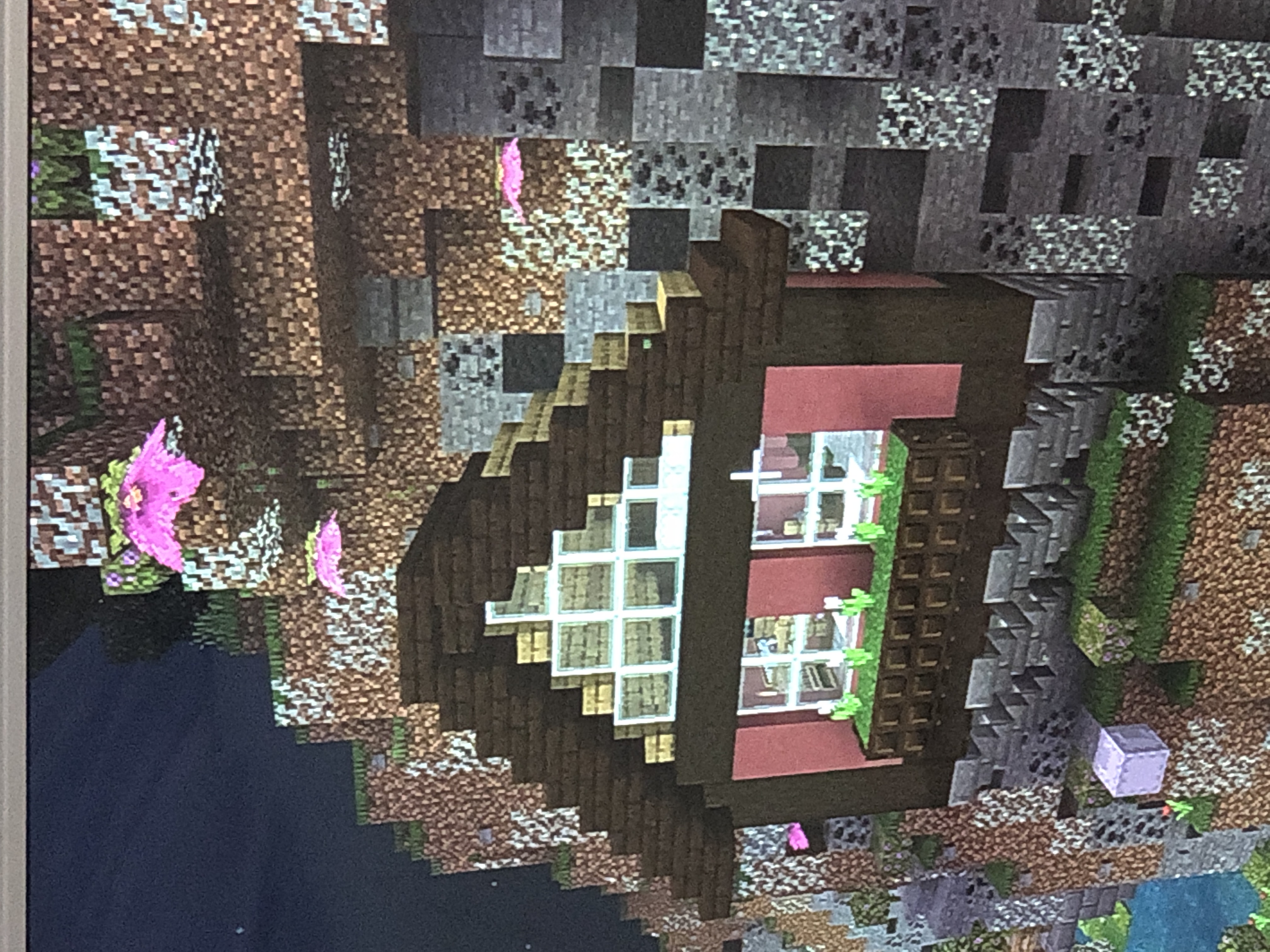 image.jpg