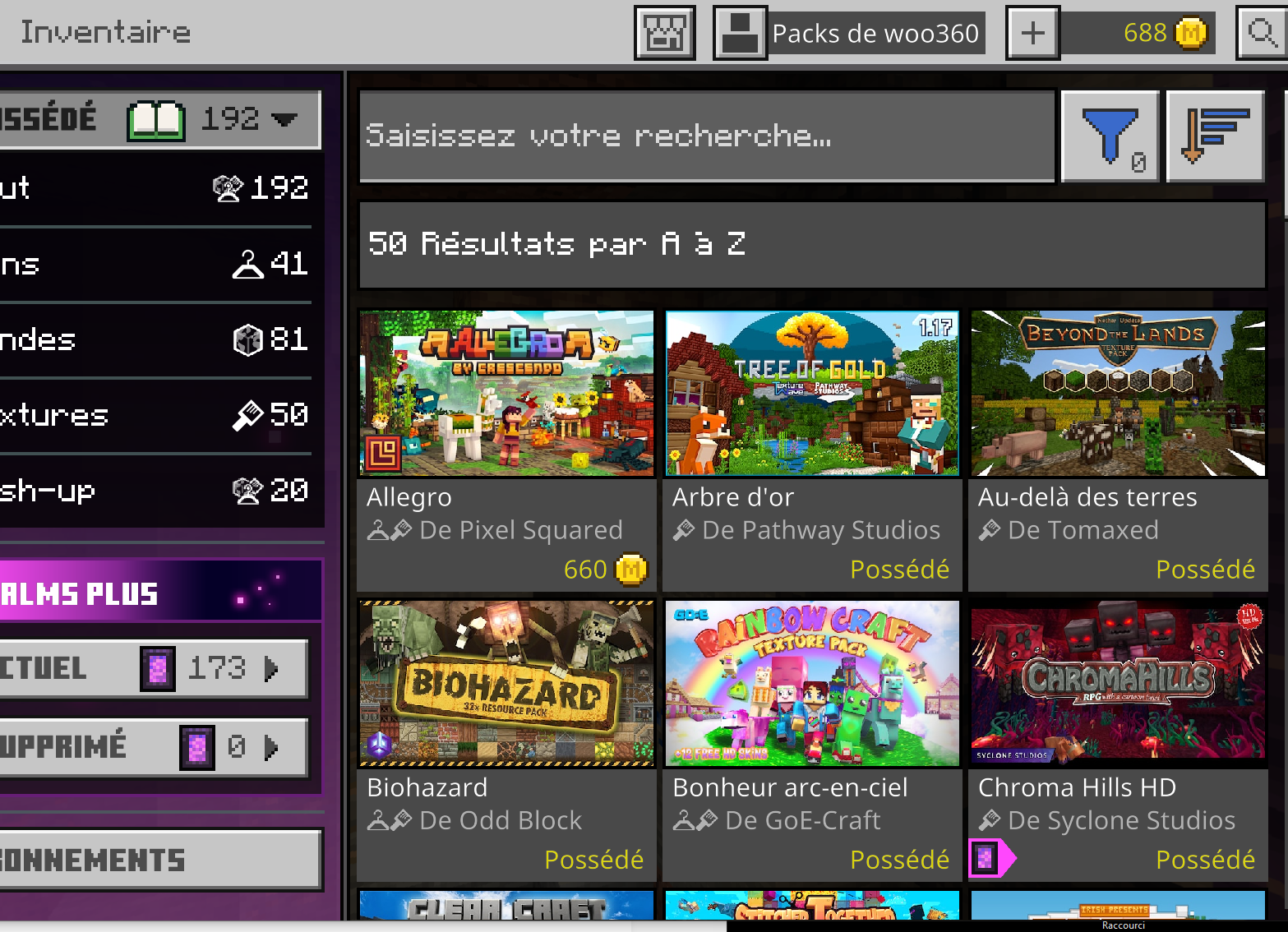 probleme minecraft.PNG