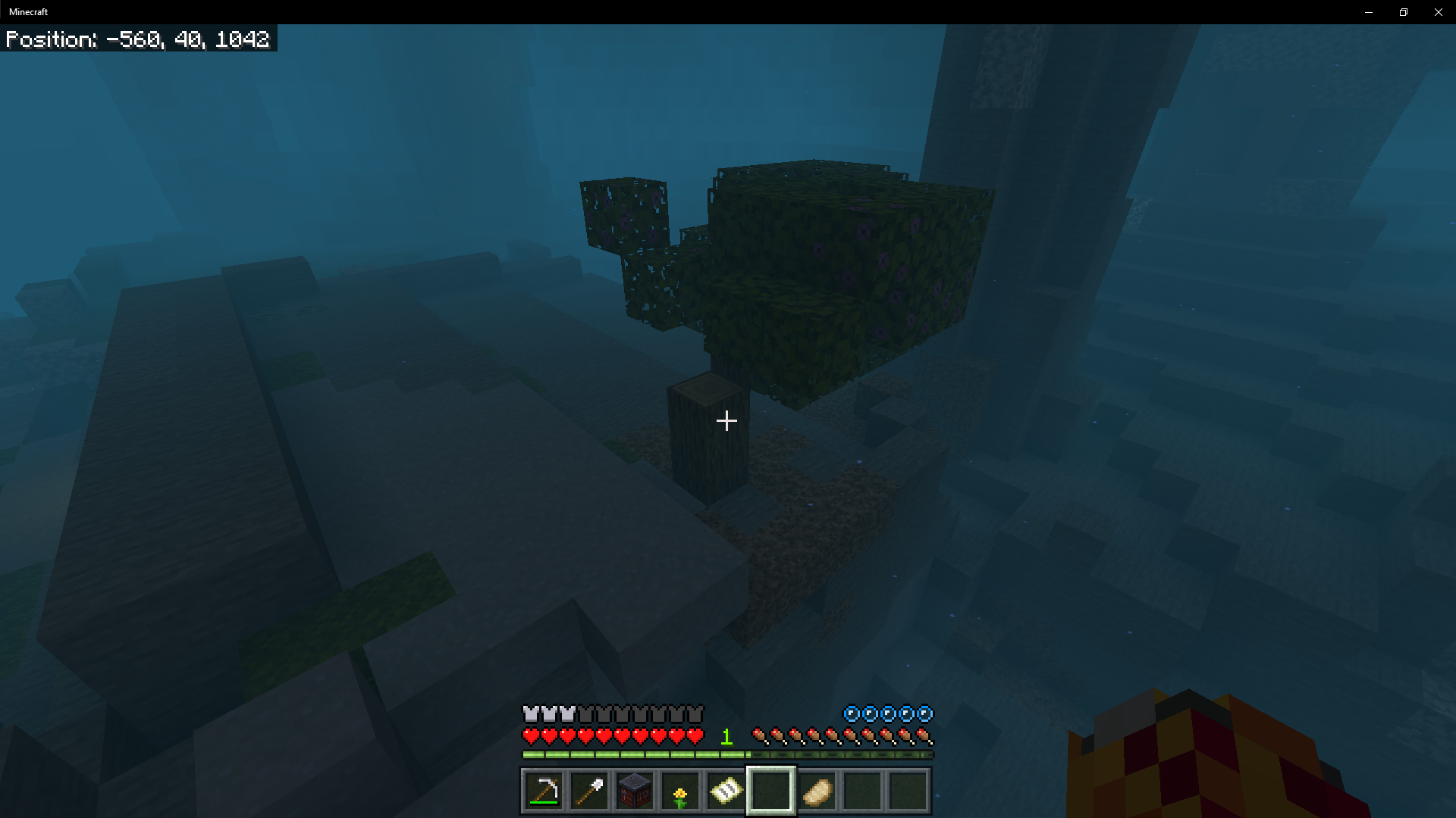 Minecraft 7_23_2021 6_12_33 PM.png