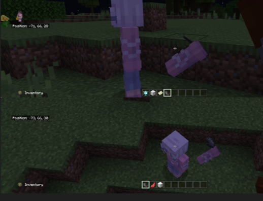 minecraft bug.PNG