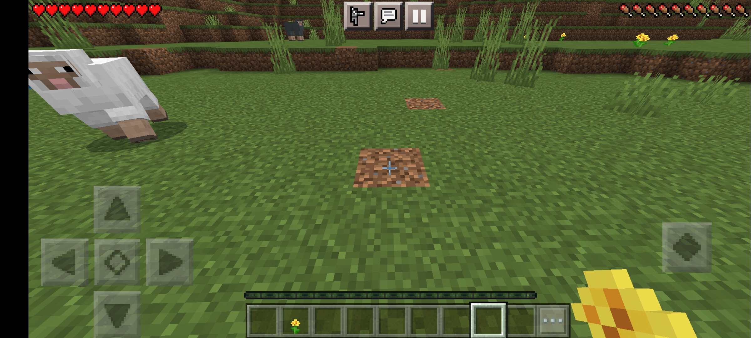 Screenshot_20211203-100110_Minecraft.jpg