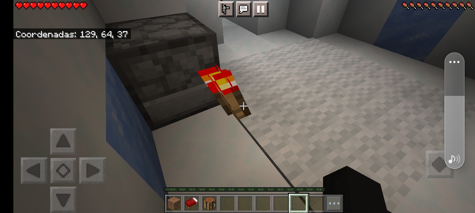 Bug of Minecraft.jpg