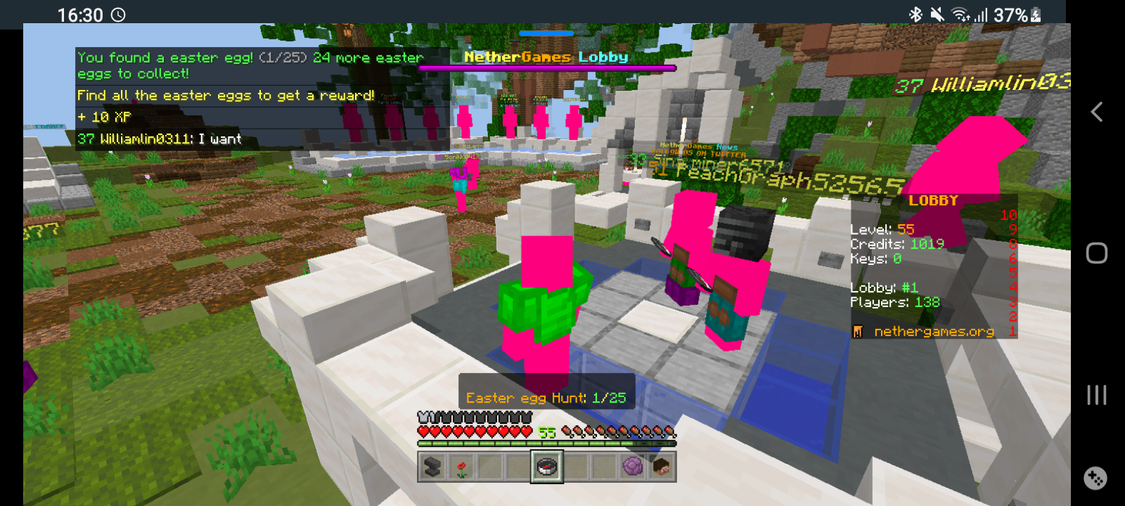 Screenshot_20220425-163032_Minecraft.png