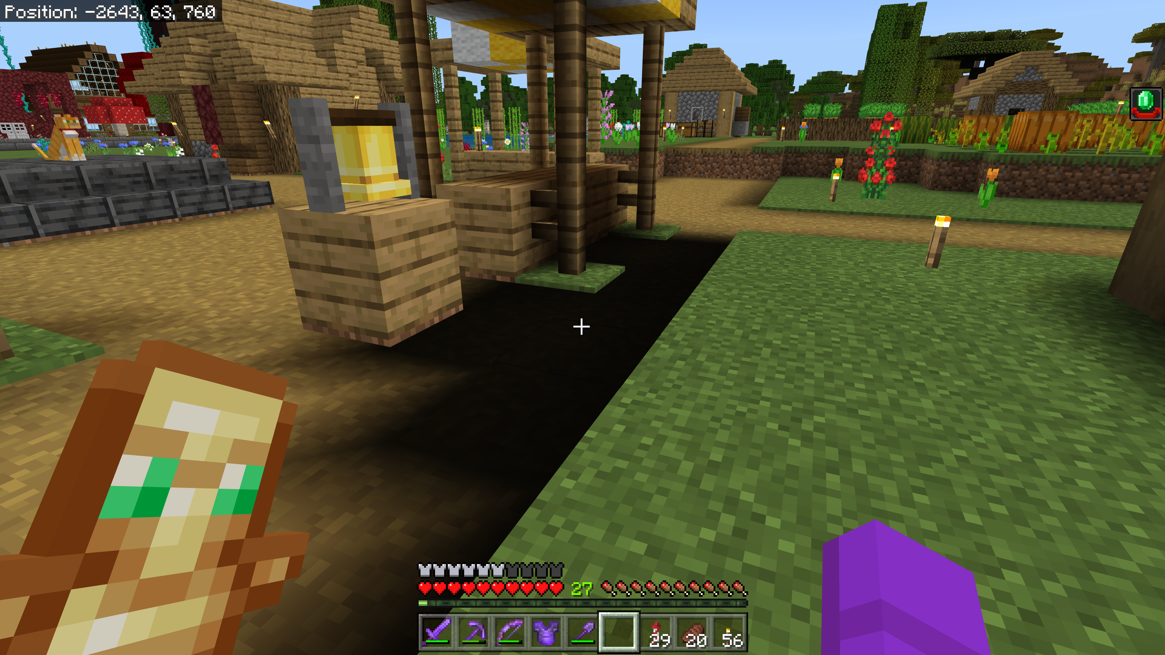 Minecraft Screenshot 2022.09.23 - 22.05.38.52.png