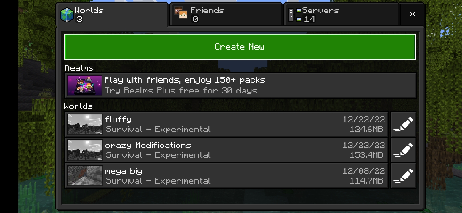 Screenshot_20221228-171845_Minecraft.jpg
