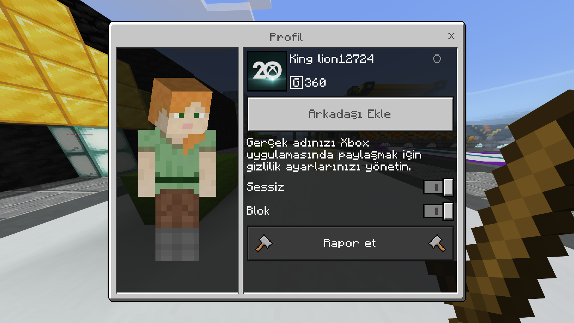 Ekran Görüntüsü (30).png