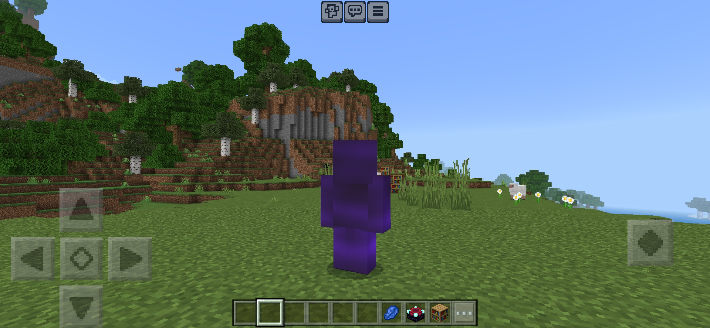 Screenshot_20230929_172647_Minecraft.jpg